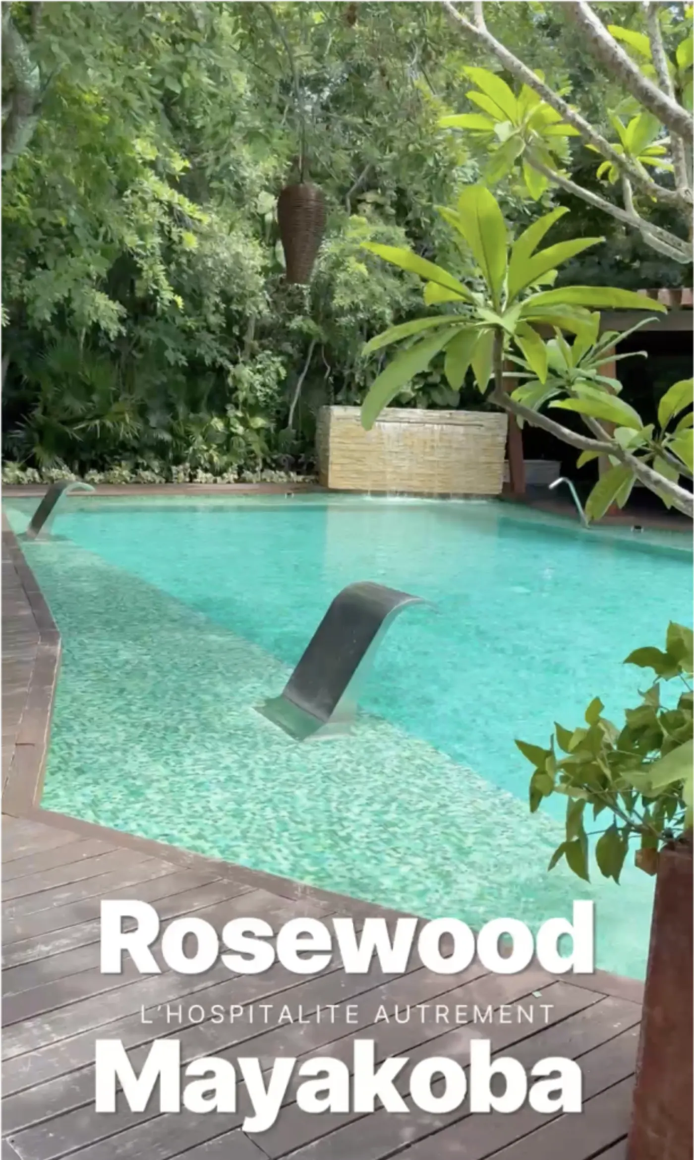 Visuel Rosewood Mayakoba, « l'hospitalité autrement », sur la piscine turquoise bordée de jungle