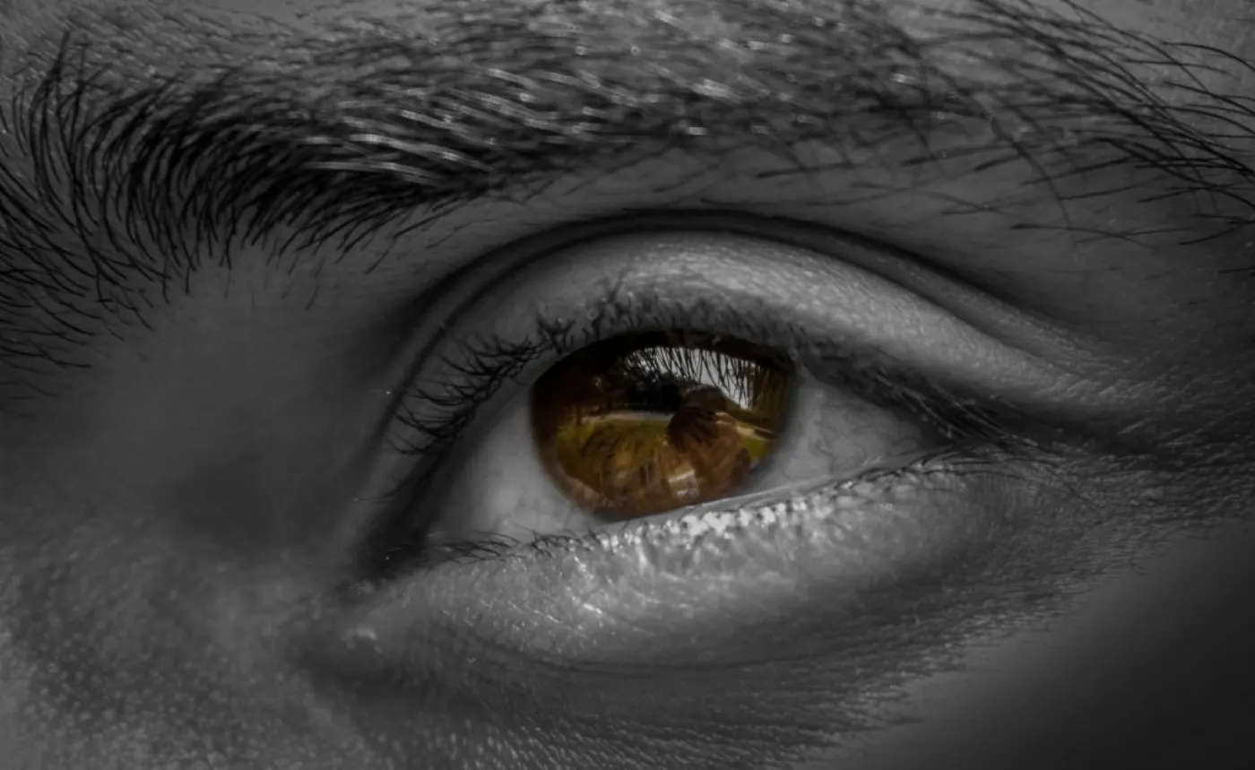 Detailed close-up of a brown eye with a reflection of nature. Captivating image showing texture and depth.