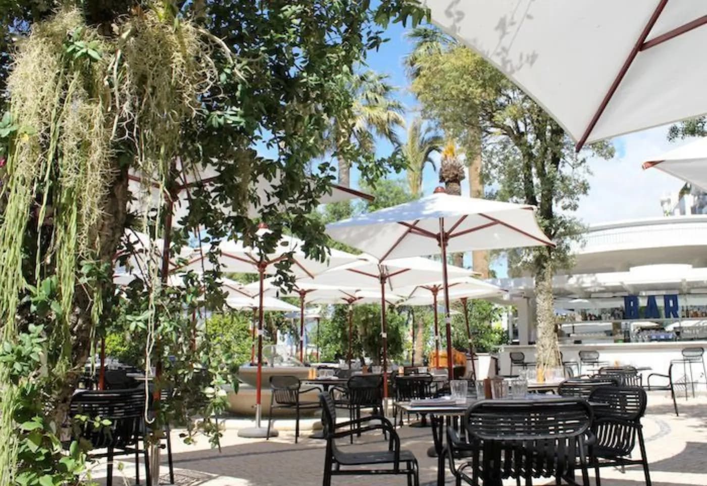 Terrasse ombragée de parasols blancs, chaises noires en métal, palmiers et bar extérieur au fond du jardin