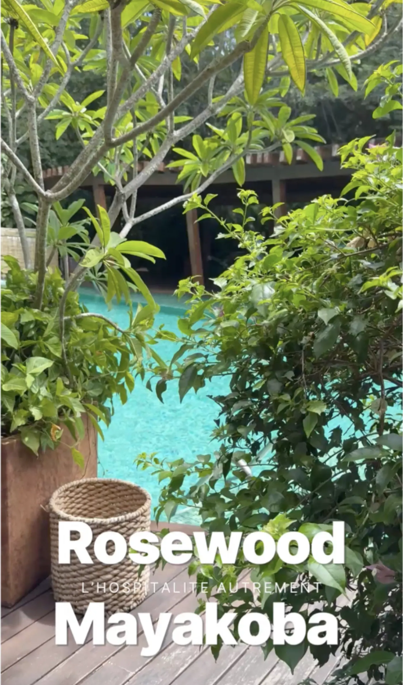 Piscine turquoise entrevue à travers la végétation, avec le titre Rosewood Mayakoba, l'hospitalité autrement