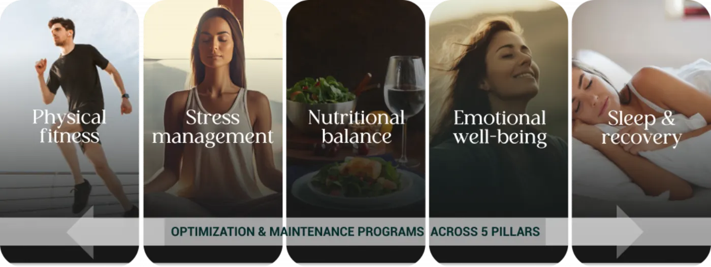 Cinq visuels des piliers VitalScore: forme physique, gestion du stress, nutrition, émotions et sommeil