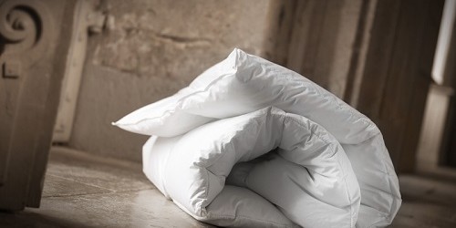 couette_Royal_hiver_dumas